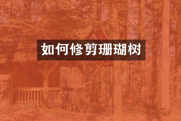 如何修剪珊瑚树