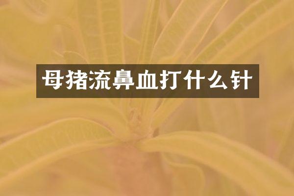 母猪流鼻血打什么针