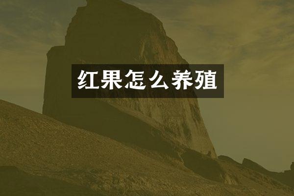 红果怎么养殖