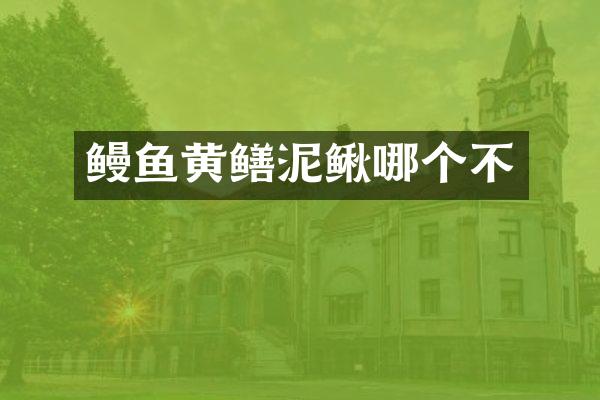 鳗鱼黄鳝泥鳅哪个不