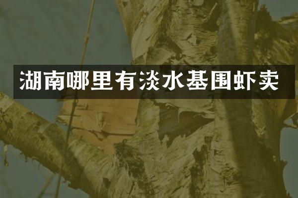 湖南哪里有淡水基围虾卖