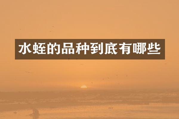 水蛭的品种到底有哪些