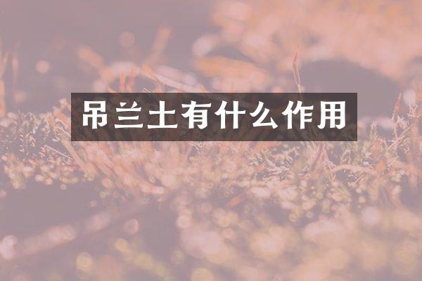 吊兰土有什么作用
