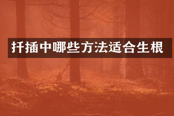 扦插中哪些方法适合生根