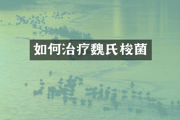 如何治疗魏氏梭菌