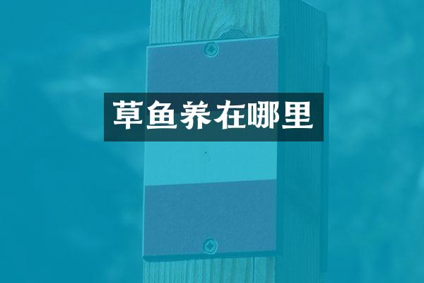 草鱼养在哪里