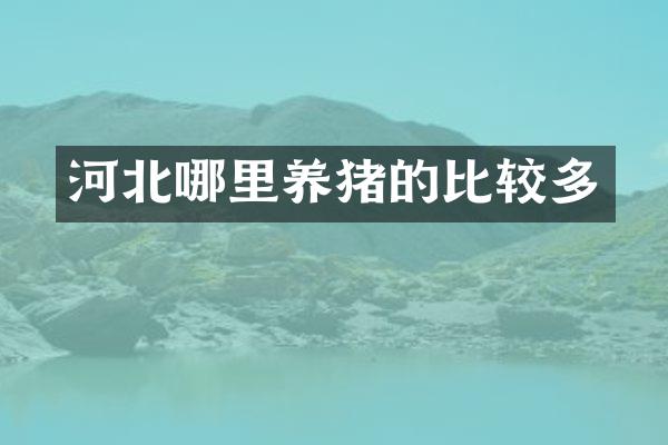 河北哪里养猪的比较多