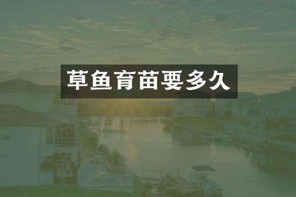 草鱼育苗要多久