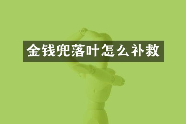 金钱兜落叶怎么补救