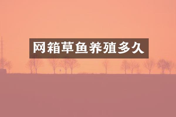 网箱草鱼养殖多久