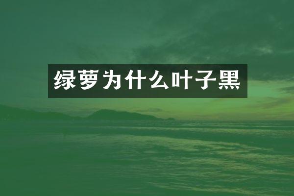 绿萝为什么叶子黑