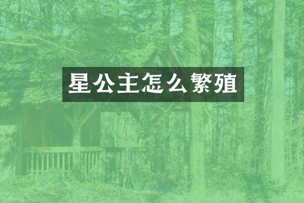星公主怎么繁殖