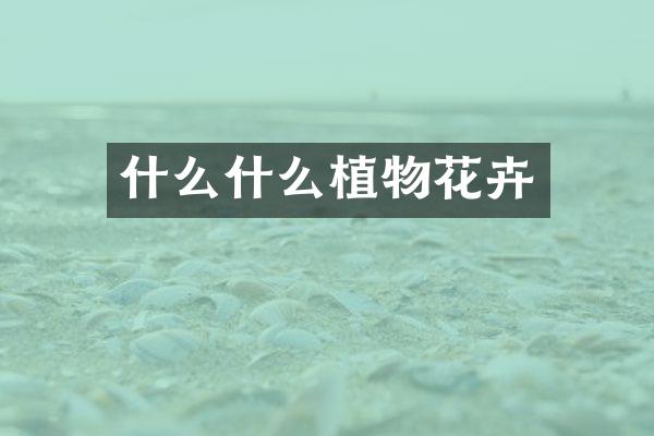什么什么植物花卉