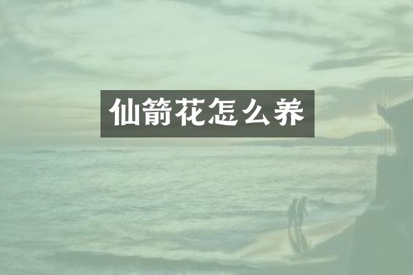 仙箭花怎么养