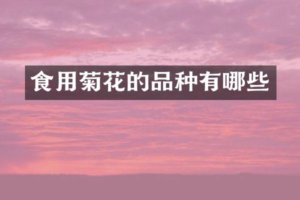 食用菊花的品种有哪些
