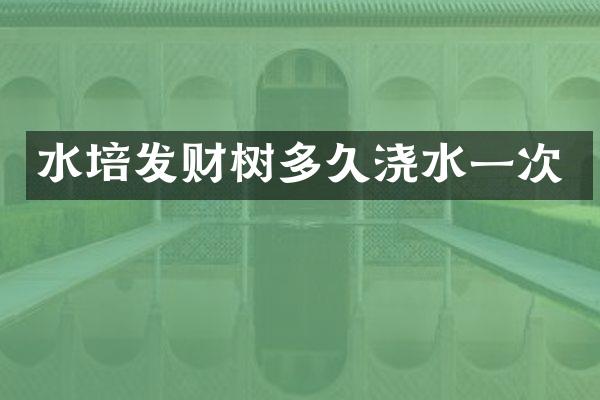 水培发财树多久浇水一次