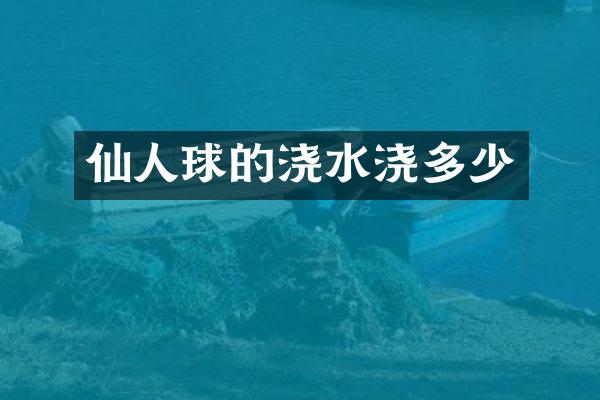 仙人球的浇水浇多少