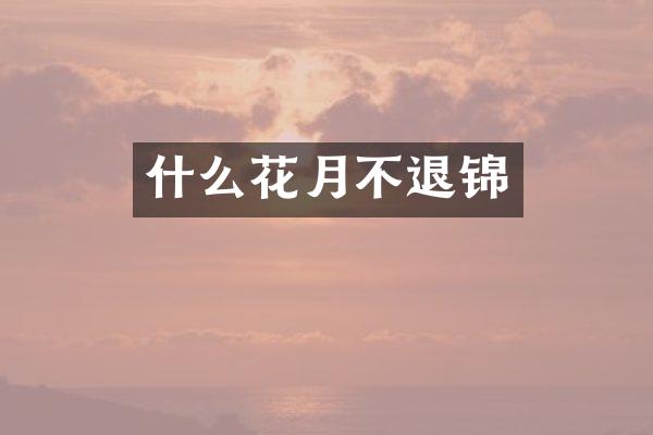 什么花月不退锦
