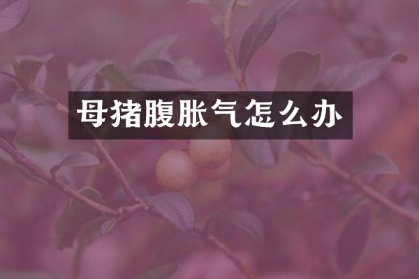 母猪腹胀气怎么办