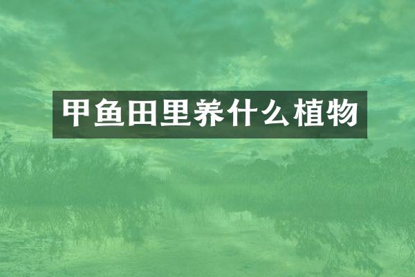 甲鱼田里养什么植物