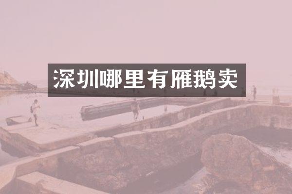 深圳哪里有雁鹅卖