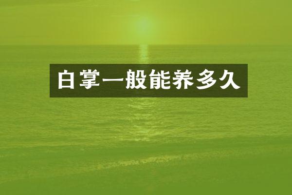 白掌一般能养多久
