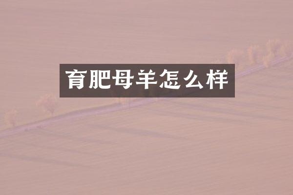 育肥母羊怎么样