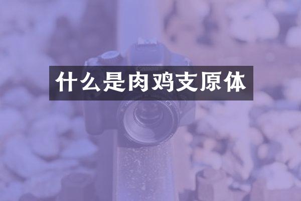 什么是肉鸡支原体