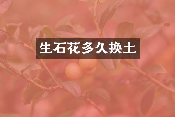 生石花多久换土