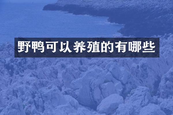野鸭可以养殖的有哪些