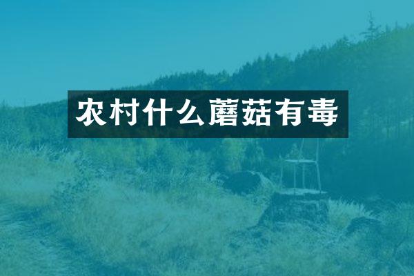 农村什么蘑菇有毒