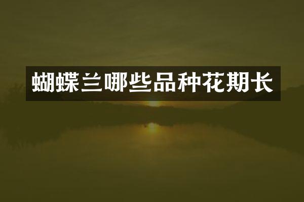 蝴蝶兰哪些品种花期长