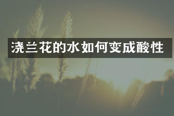 浇兰花的水如何变成酸性