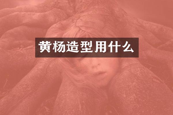 黄杨造型用什么