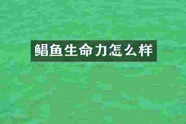 鲳鱼生命力怎么样