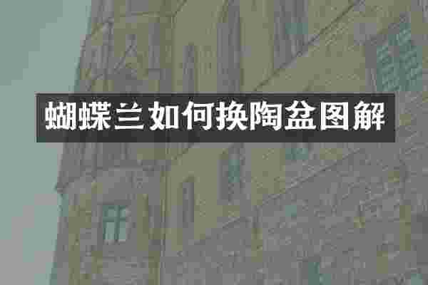 蝴蝶兰如何换陶盆图解