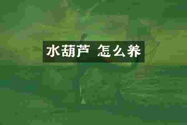 水葫芦 怎么养