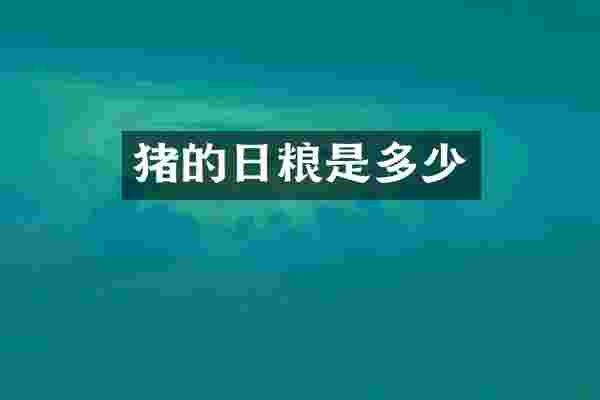 猪的日粮是多少