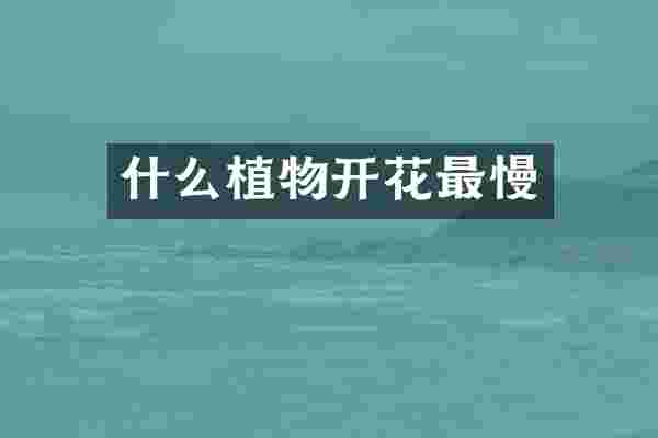 什么植物开花最慢