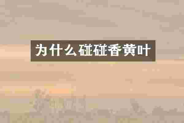 为什么碰碰香黄叶