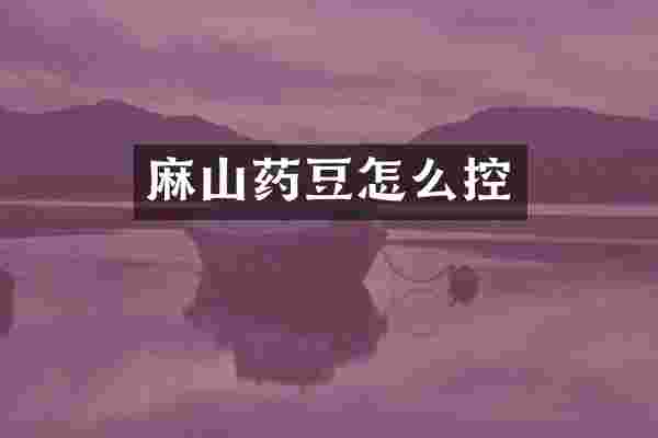 麻山药豆怎么控