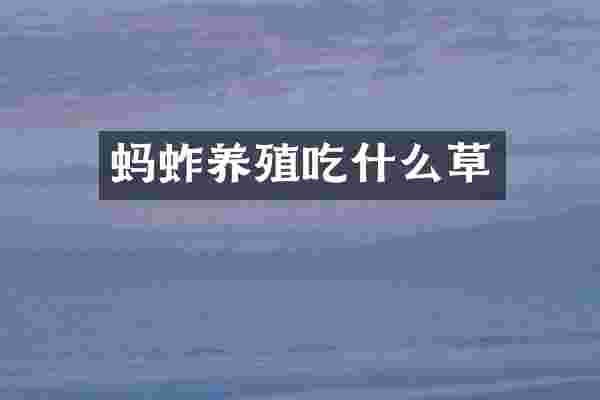 蚂蚱养殖吃什么草