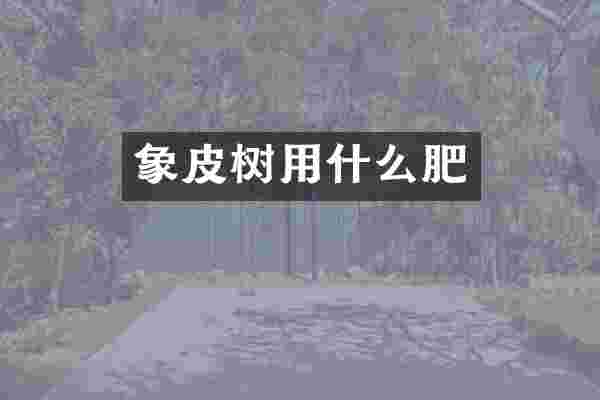 象皮树用什么肥