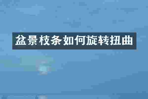 盆景枝条如何旋转扭曲