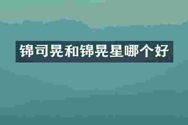 锦司晃和锦晃星哪个好