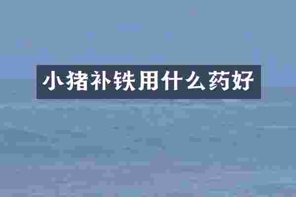 小猪补铁用什么药好