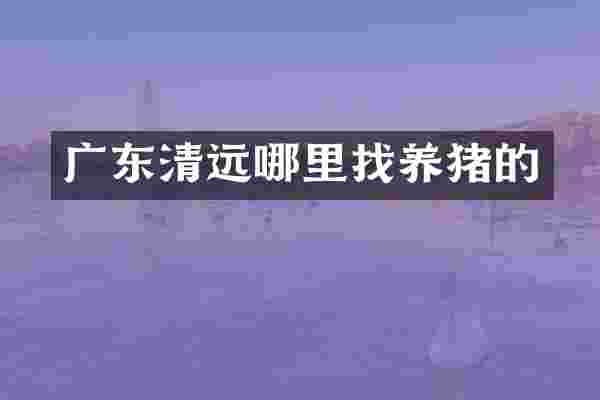 广东清远哪里找养猪的