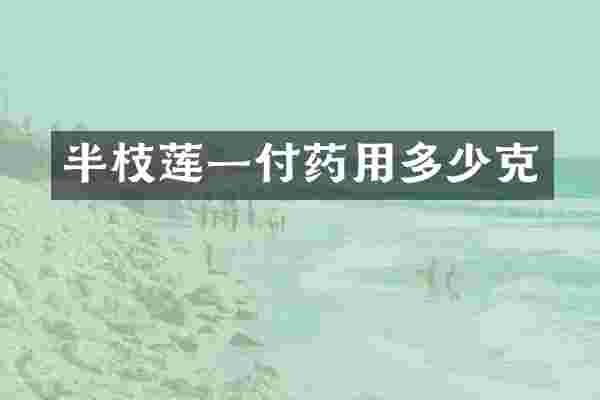半枝莲一付药用多少克