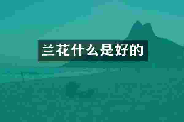 兰花什么是好的