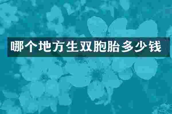 哪个地方生双胞胎多少钱